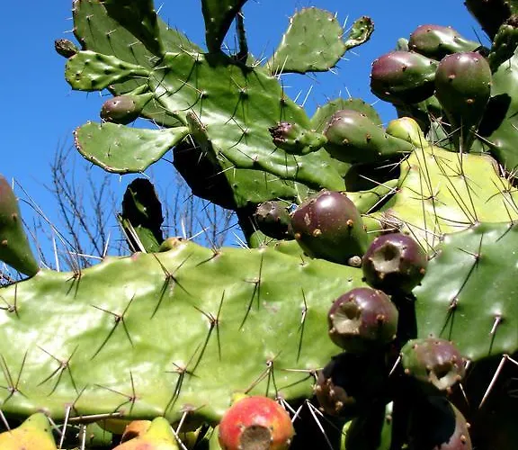Pozzo Al Moro Village Marina di Campo