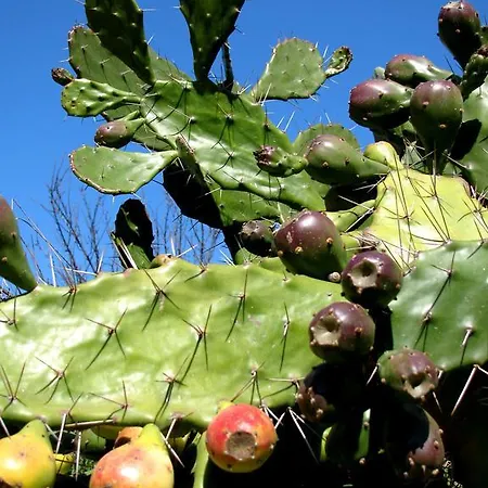 Pozzo Al Moro Village 坎普码港